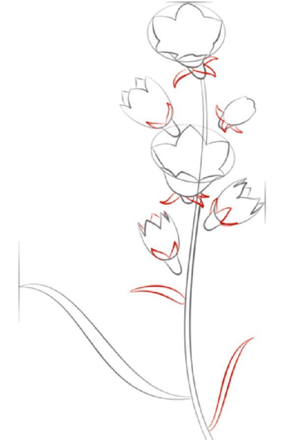 Figurblomst