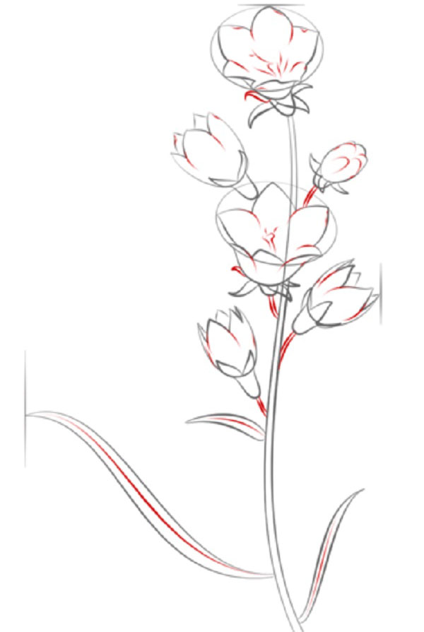 Figurblomst