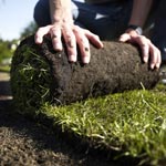 Lawn Care Lawn Care