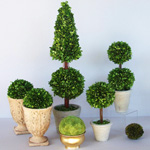 Pas på topiary Pas på topiary