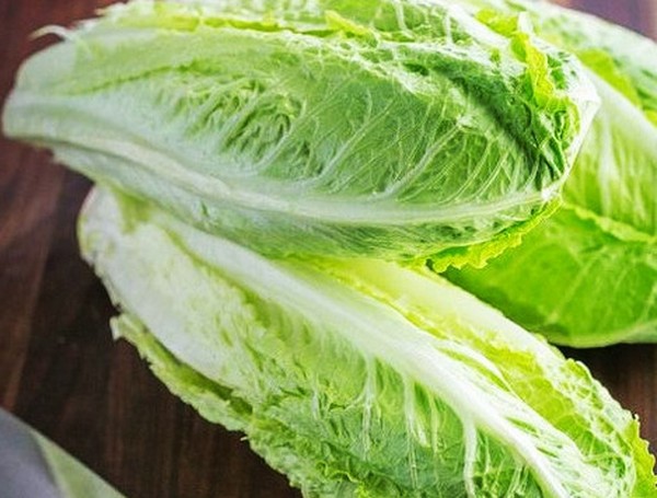 Voksende salat i teori og praksis, nyttige råd og anbefalinger
