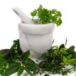 Hjemmet kosmetik: infusioner, afkog, tinkturer Hjemmet kosmetik: infusioner, afkog, tinkturer
