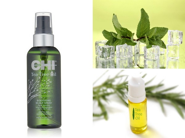 Sommer fugtgivende: en samling af hårpleje SHI Tea Tree Oil