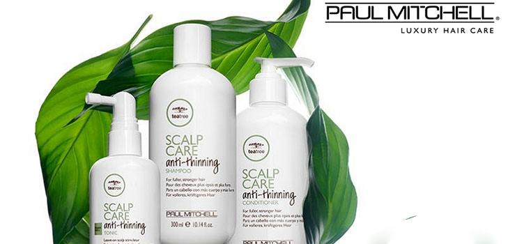 Hårstyrke fra rødder til tip: Paul Mitchell Tea Tree Scalp Care serien