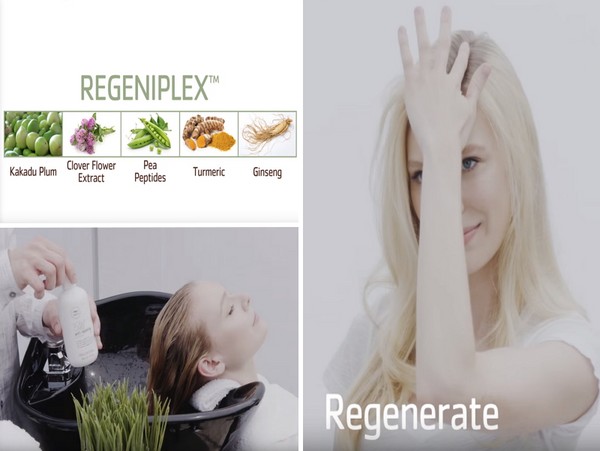 Hårstyrke fra rødder til tip: Paul Mitchell Tea Tree Scalp Care serien