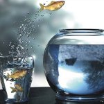 Comfort Zone: Hvordan udvides det?