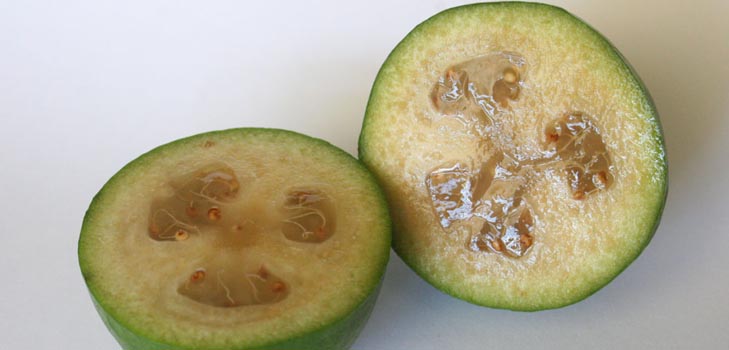 Feijoa - nyttige egenskaber, fordele og skader af feijoa
