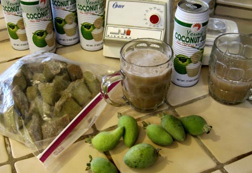 Feijoa - nyttige egenskaber, fordele og skader af feijoa