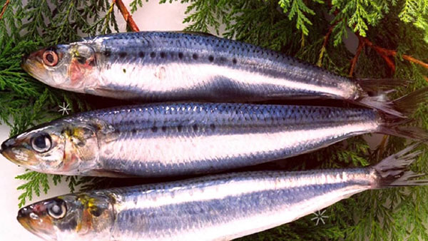 Hvordan skære silden fra knoglerne korrekt og hurtigt