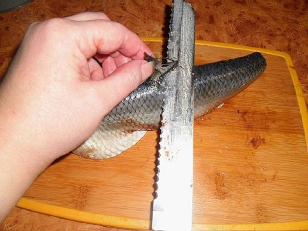 Hvordan skære silden fra knoglerne korrekt og hurtigt
