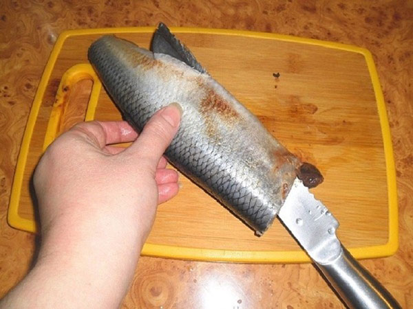 Hvordan skære silden fra knoglerne korrekt og hurtigt