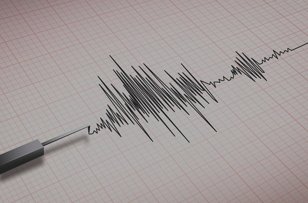 Hvordan man laver en polygraph