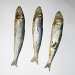 Sådan tørres fisk