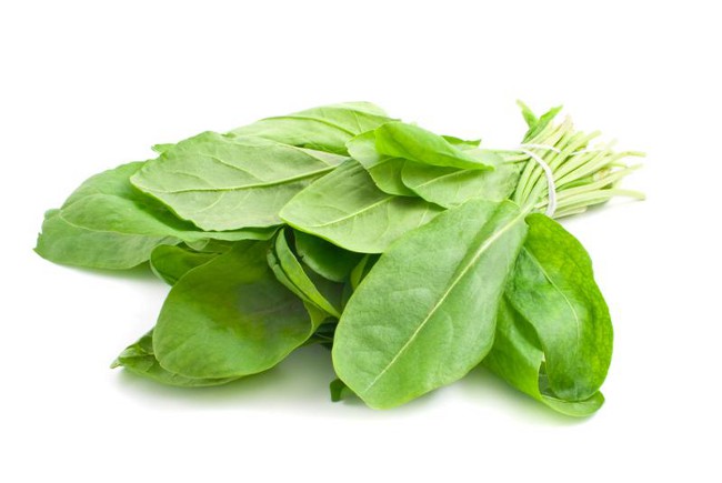Hvordan man anskaffer sorrel til vinteren?