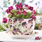 Hvilke blomster giver den 8. marts