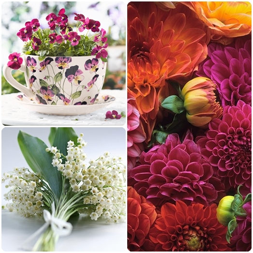 Hvilke blomster giver den 8. marts