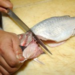 Behandling af fisk af forskellige typer