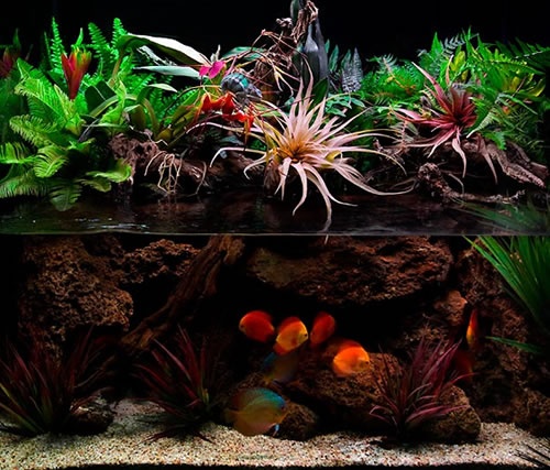 Lav et akvarium med egne hænder