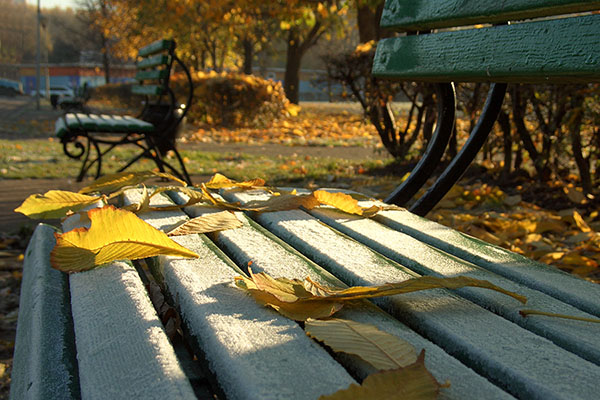 Vejrudsigt for september 2017 i Moskva