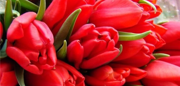 flok blomster