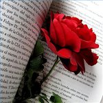 Tillykke med Valentinsdag i vers