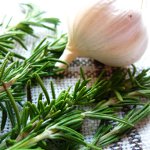 Rosemary i madlavning Rosemary i madlavning