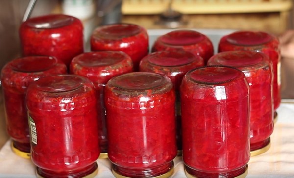 Borsch til vinteren i dåser, opskrifter til tilberedninger med rødbeder og kål, tomatpuré og uden det