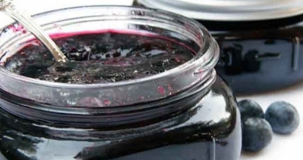 Blueberry opskrifter til vinteren