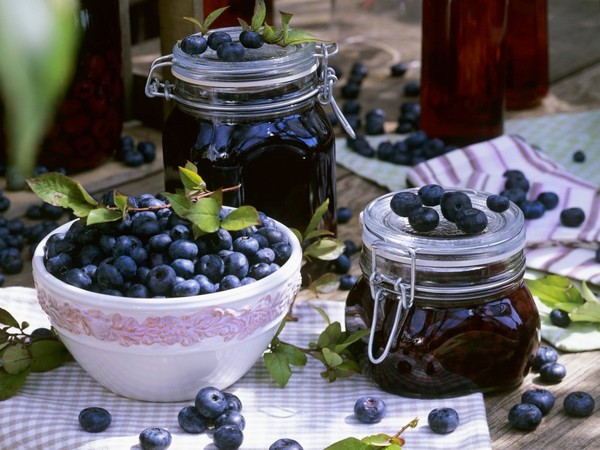 Blueberry opskrifter til vinteren Blueberry opskrifter til vinteren