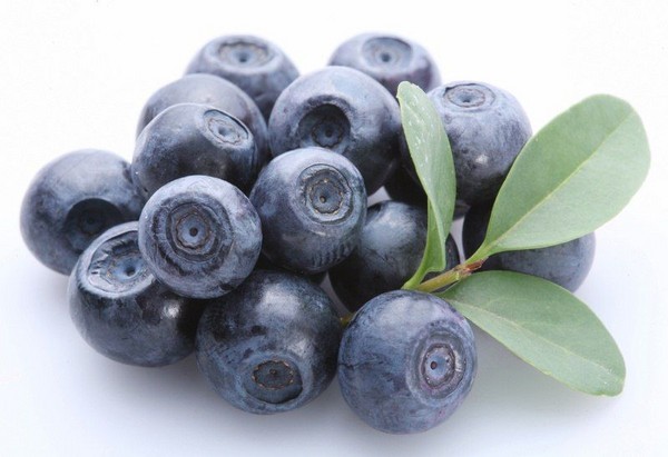 Blueberry opskrifter til vinteren