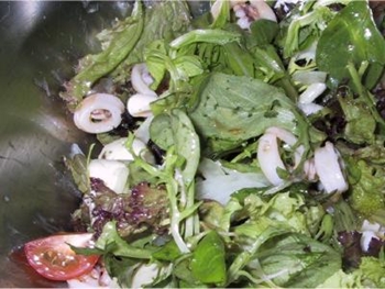 Dejlig, lys salat i middelhavsstil 