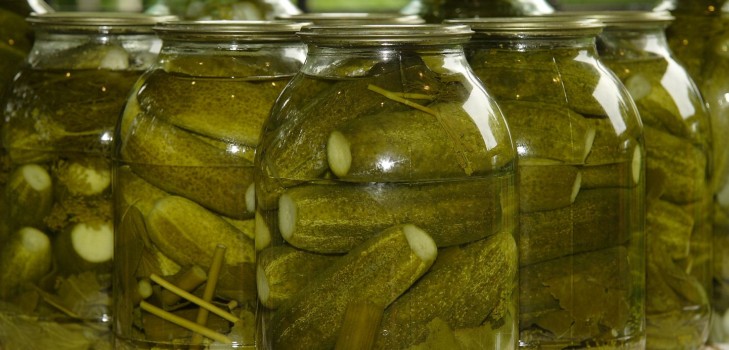 Crispy agurker til vinteren - syltet, uden eddike, uden sterilisering. De bedste enkle opskrifter med fotos af sprøde agurker i dåser med vodka