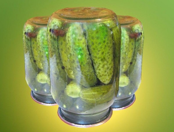 Crispy agurker til vinteren - syltet, uden eddike, uden sterilisering. De bedste enkle opskrifter med fotos af sprøde agurker i dåser med vodka