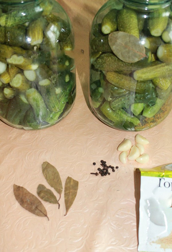 Crispy agurker til vinteren - syltet, uden eddike, uden sterilisering. De bedste enkle opskrifter med fotos af sprøde agurker i dåser med vodka