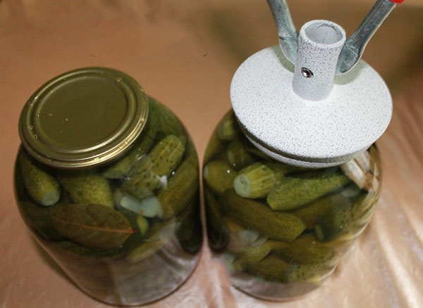 Crispy agurker til vinteren - syltet, uden eddike, uden sterilisering. De bedste enkle opskrifter med fotos af sprøde agurker i dåser med vodka