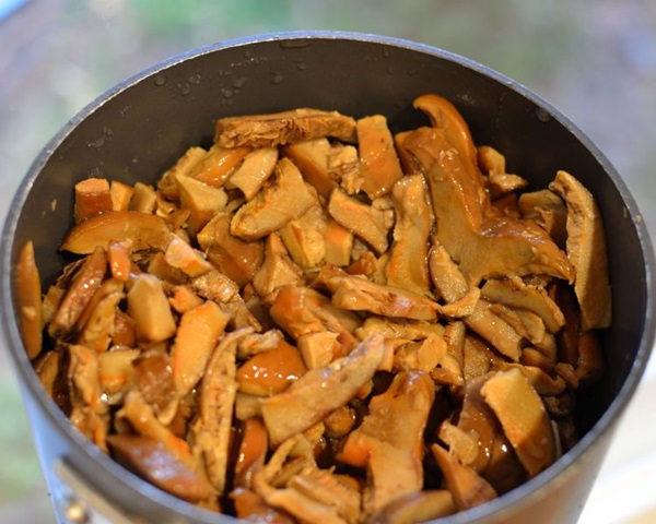 Sådan syner du svampe
