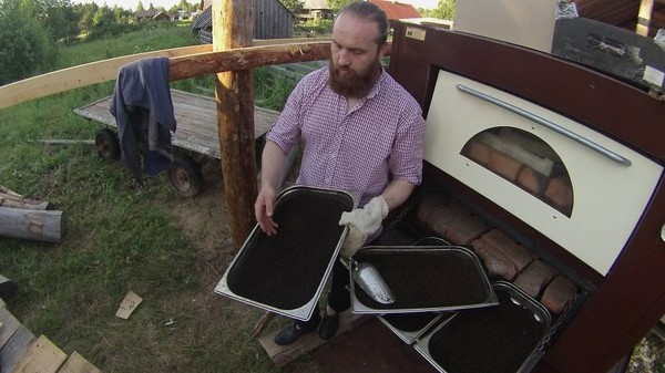 Sådan samles, tørres og brygges Ivan te derhjemme