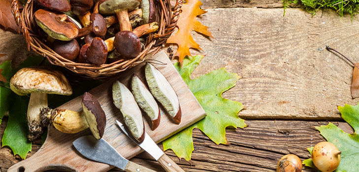 Sådan salt champignon til vinteren
