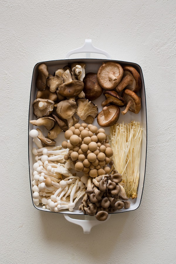 Sådan salt champignon til vinteren