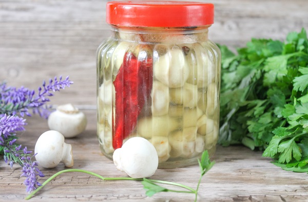 Sådan salt champignon til vinteren