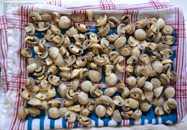 Sådan salt champignon til vinteren
