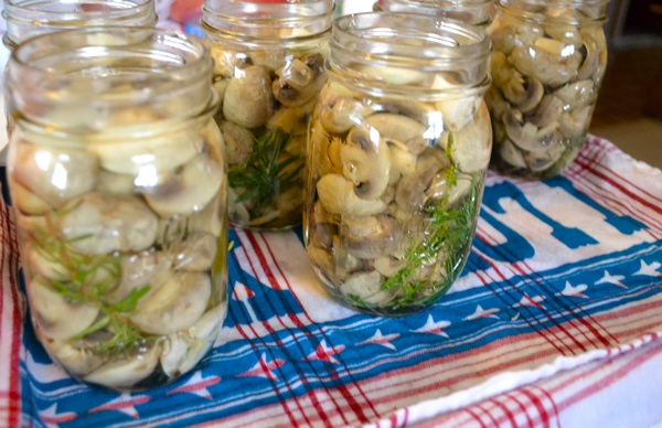 Sådan salt champignon til vinteren