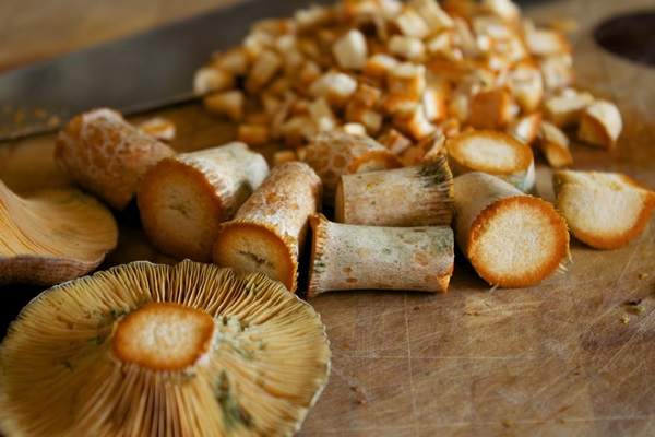 Sådan salt champignon til vinteren