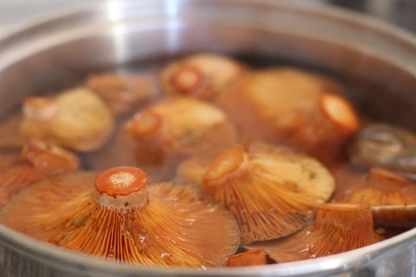 Sådan salt champignon til vinteren