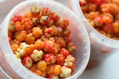 Sådan koges en cloudberry syltetøj: en opskrift med et billede