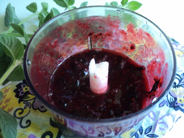 Sådan fryser du sortis i form af sorbet