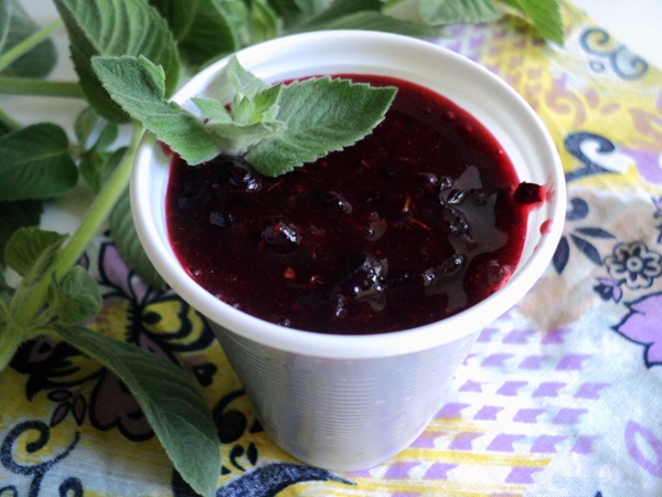 Sådan fryser du sortis i form af sorbet