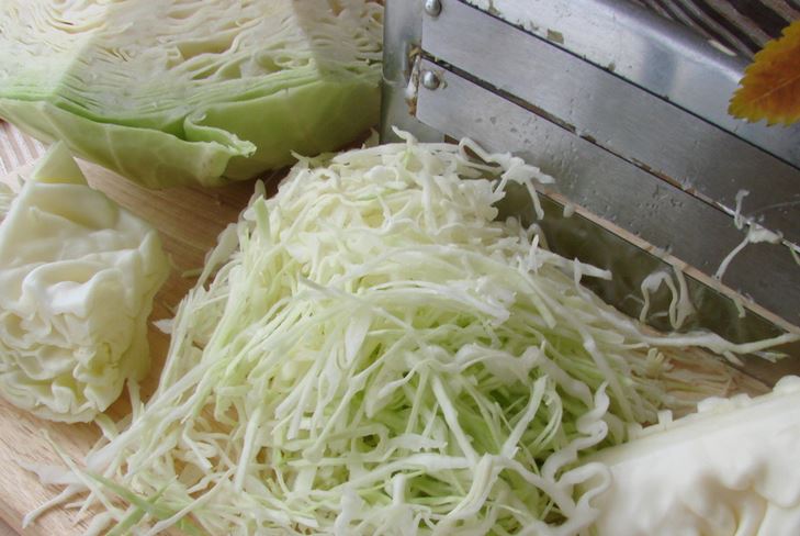 Saltning af kål til vinteren
