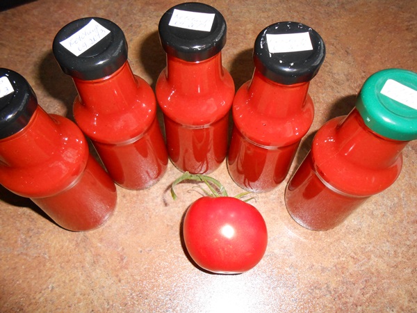 Ketchup af egne hænder fra tomater: trinvise opskrifter til høst til vinteren