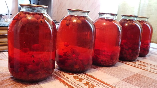Kompot fra chokeberry ashberry